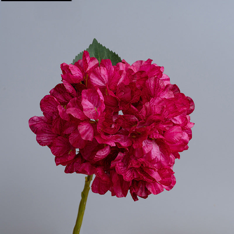 Kunstblumen Hortensien Vintage | 35 cm | Geflammter Rand | Realistisch | Herbst & Winter Deko für Vase & Hochzeit