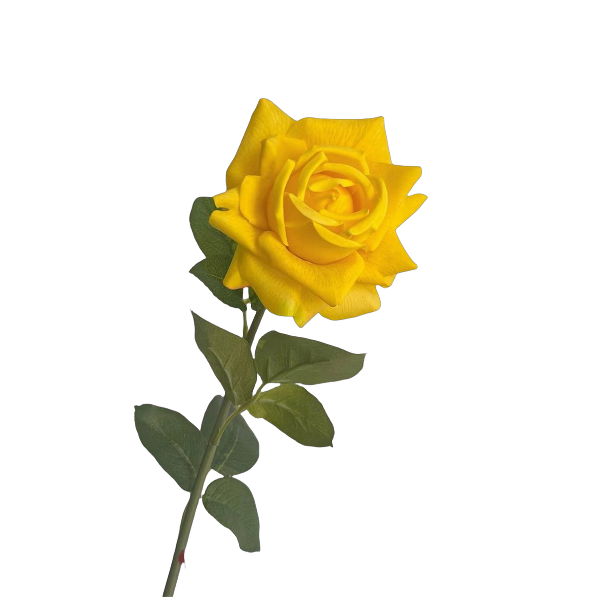 Real Touch Rose 73 cm – Gerüschte Kunstrose | Seidenstiel für Vase, Hochzeit & Floristik
