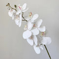100cm künstliche Phalaenopsis Orchideen – Realistische Kunstorchidee für Blumenarrangements, Home Decor, Bürodekoration, Hochzeitszentren, DIY-Projekte