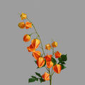 88 cm Einz Zweig künstliche Physalis