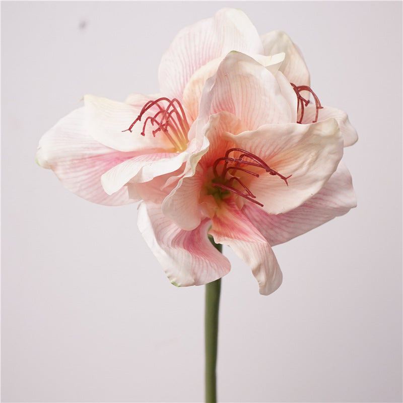 74cm Real Touch Amaryllis - Künstliche Christblume für Hochzeit & Weihnachtsdeko
