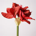 74cm Real Touch Amaryllis - Künstliche Christblume für Hochzeit & Weihnachtsdeko