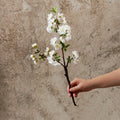 3er Set Künstliche Kirschblütenzweige (49 cm) – Frühlingsdeko für Zuhause & Sakura-Arrangements